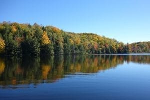 view of trees with fall foliage, view from calm lake